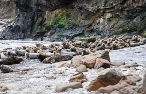 Swallow Cottage - Foto 15