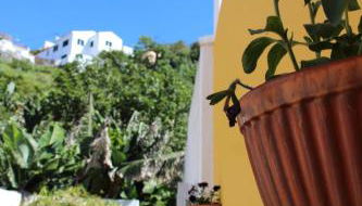 Casa da Vila - Photo 4, Garden view