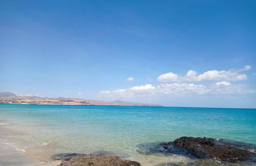 Ocean Dream 4A - Photo 14