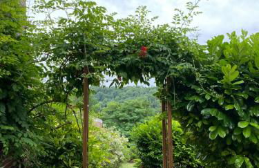 Le Haut 33 : Maison bourgeoise de caractère à Laon - Foto 38