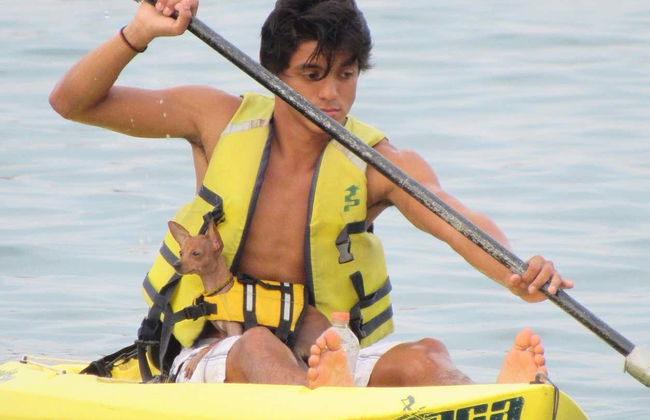 El Morro Islet Kayak + Hiking Tour - Photo 7