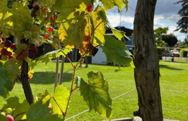 CASALINO DI ANNA - Foto 34