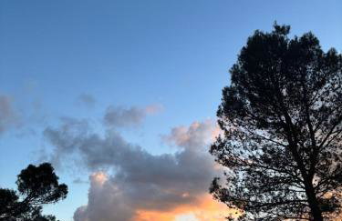 Casa Rural Las Nogueras - Foto 32