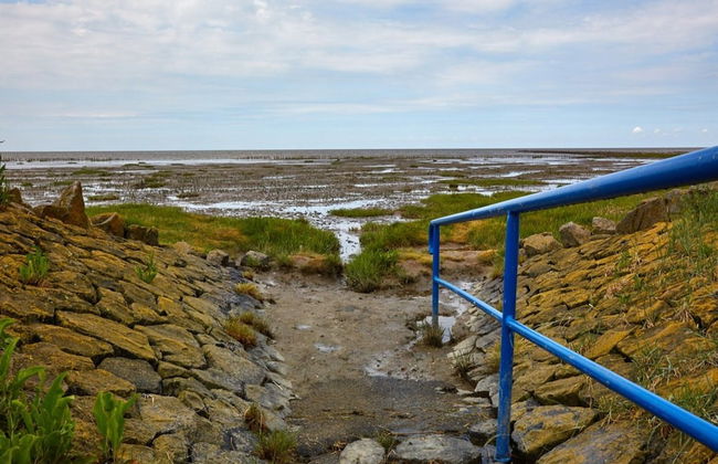 Doppelhaushaelfte, Friedrichskoog-spitze - Foto 19