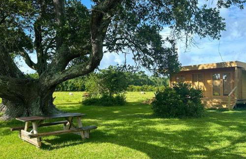 Tranquil Modern Farm Cabin - Foto 22