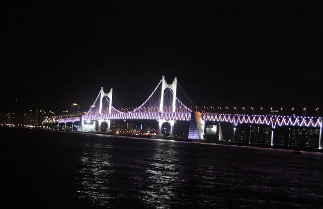 Nachtansicht von Busan - Private Tour - Foto 5