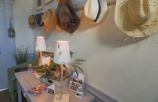 Château du Pin - Foto 2