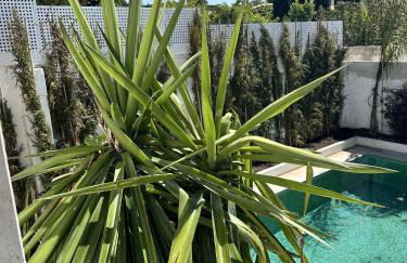 Sunshine Guesthouses in Azeitao and Algarve - Foto 5