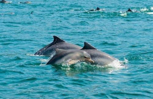 Incrível ap UBATUBA centro vista para o mar! - Foto 52