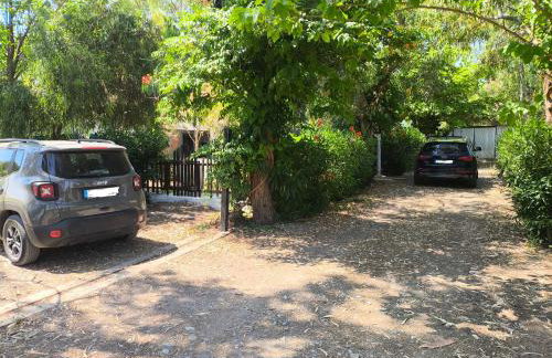 House of Memories - Photo 32