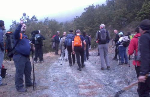 "The plane trees" - Foto 66