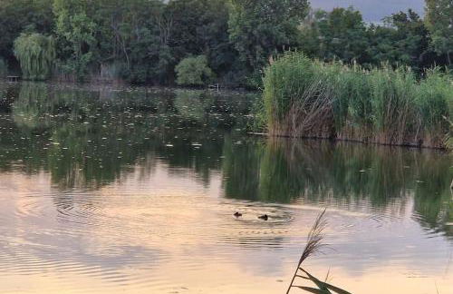 Wohnen am See - Foto 33