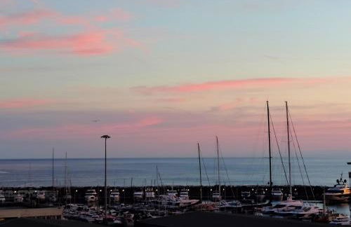 Seagulls, Elegance and Freedom - Foto 49