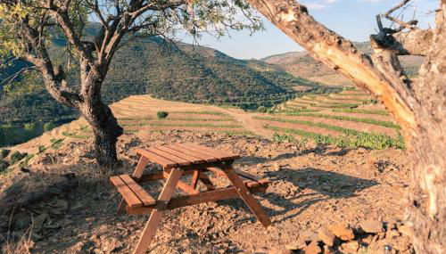 Casa do Losango - the Douro river as a border - Foto 2