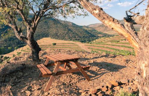 Casa do Losango - the Douro river as a border - Foto 2