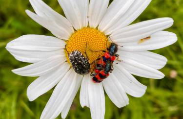 Pfarrhaus Tollensesee - Foto 73