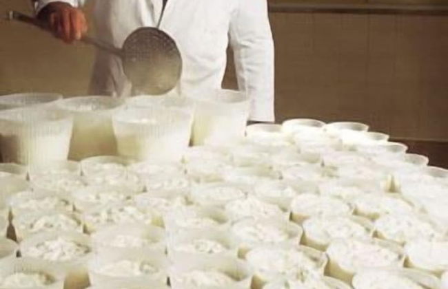 Agriturismo Villa Dafne - Photo 46