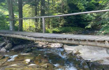 Pod Srebrzystym Świerkiem - Jacuzzi - Foto 40