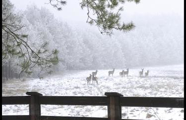 Hankówka Mazury - Foto 62