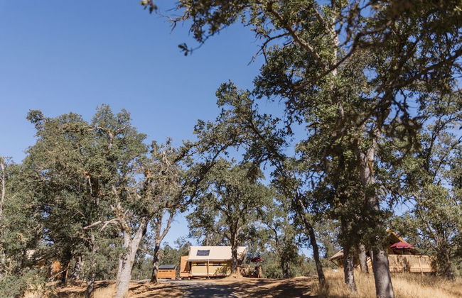 Huttopia Wine Country - Foto 67