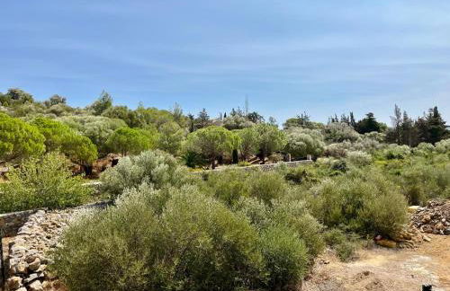 Charmante maison vue garrigue avec piscine - Foto 19