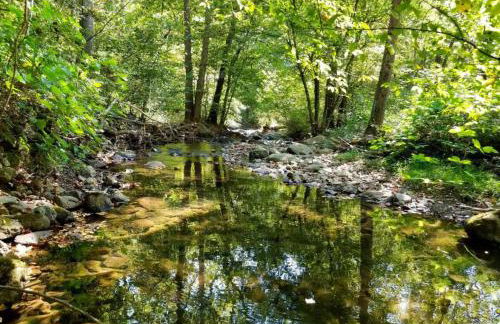 Log Cabin on the River - Foto 8