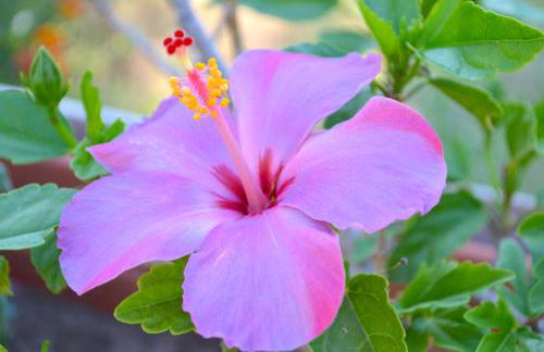 Agriturismo Antichi Ulivi - Foto 49