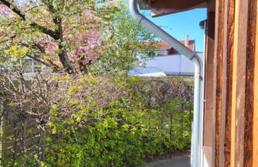 Ferienwohnung Bad Doberan - mit Garten und Terrasse - 2023 neu renoviert - Foto 35