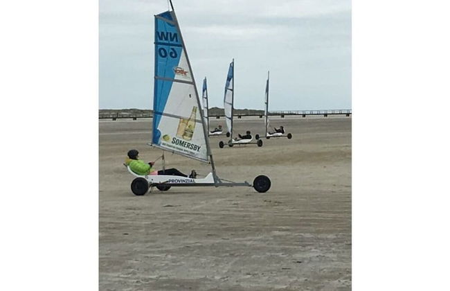 House by the Paddock - Foto 16