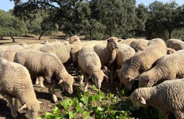 Casa Rural Nacimiento del Hueznar - Tomillo 17 - Foto 52