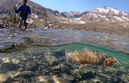 Relais & Chateaux Lumiere by Dunton - Foto 39