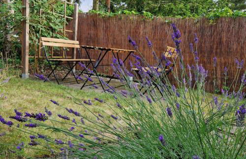 Ferienhaus an der Brandenburgischen Seenplatte - Photo 14