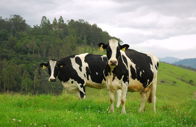 The Ridge - Gloucester - Photo 8