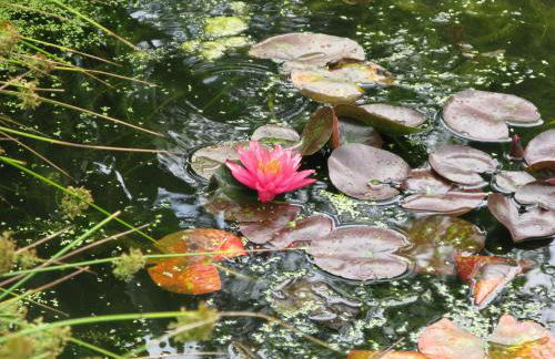 Agriturismo CasaMela - Foto 32