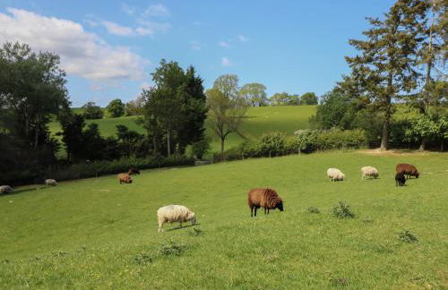 Ysgubor Fachwen - Photo 21