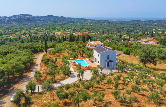 Olivista in Platonas - Foto 51