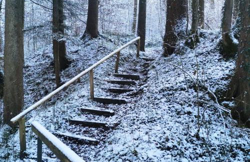 Altkreut Festenhof, Linde und Kastanie, 2 große FeWos für Gruppen bis 19 Personen ruhig und naturnah, 60 Min von München - Foto 33