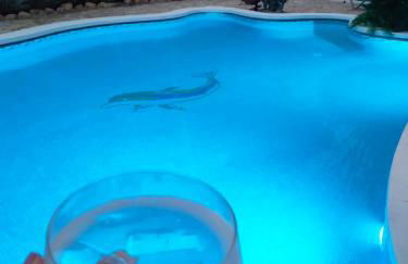 villa aranda - Photo 4