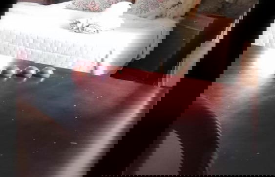 Agriturismo Villa delle Acacie - Foto 16