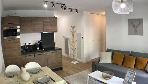 Auron- Magnifique 3p neuf - Foto 2