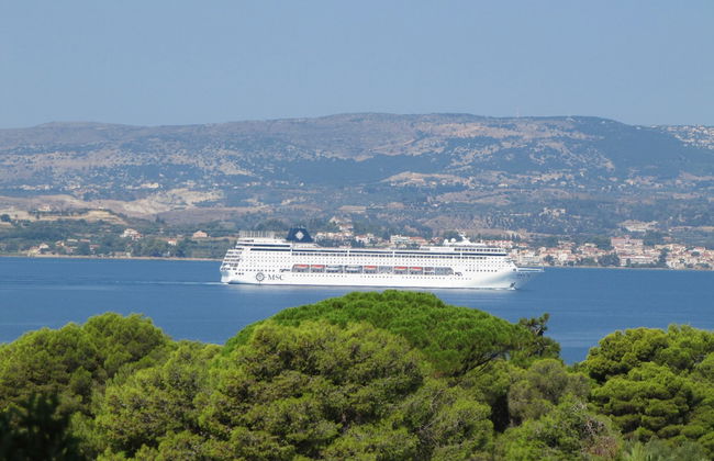 Seapine Studios - Foto 1