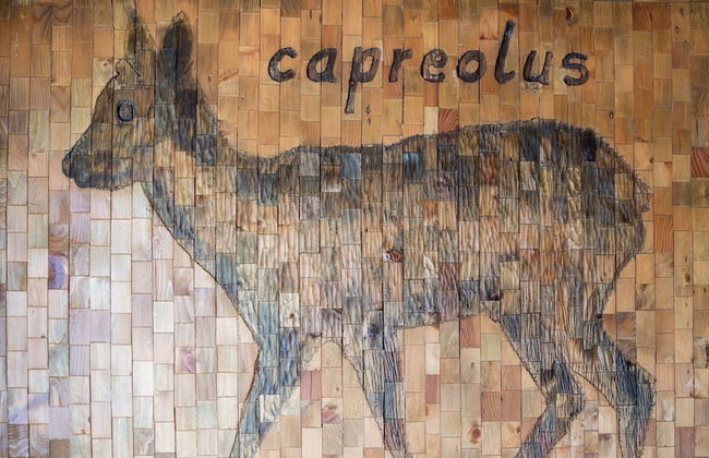 Italianway - Teregua 2 - Foto 31