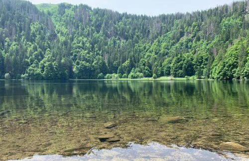 Haus Wiesenquelle, Deluxe-Apartment 'Feld & Berg' - Foto 28