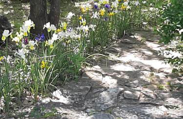 Cherokee mountain log cabin resort - Foto 26