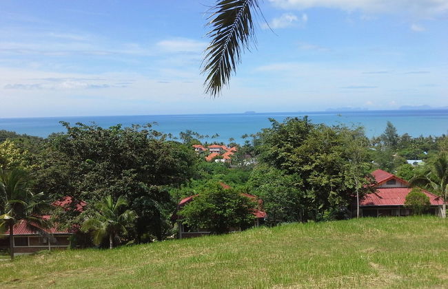 Freedom Estate - Photo 58