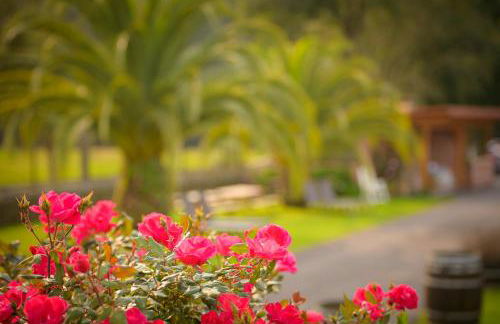 Piscina climatizada y cubierta 365 dias en Casa Rural con Encanto El Puentuco una de las casas mas valoradas de Cantabria - Foto 70