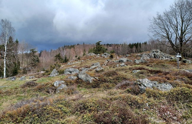 Schones Ferienhaus mit Grossem Garten bei Stadlern - Foto 33