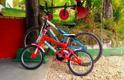 Sitio Libardo em Meio a Natureza - Nova Trento - Foto 28