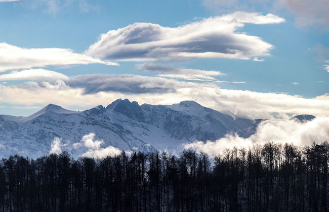 Ktima Bellou - Foto 35