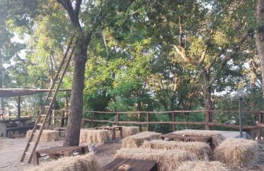 Agriturismo Quota 700 - Foto 2